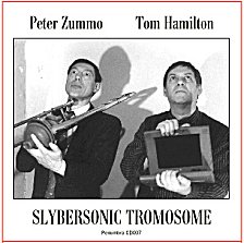 Slybersonic Tromosome